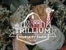 Logo for Trillium Nursery Farm