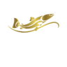 Logo for The Cape Fox Lodge