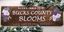 Logo for Bucks County Blooms