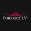 Logo for Purrfect LV