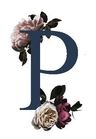 Logo for Planned to Perfection of the Bluegrass
