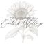 Logo for Phyllis Kent Events & Weddings