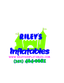Logo for Rileys Inflatables