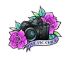 Logo for The Pic Chick