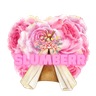 Logo for Slumberr
