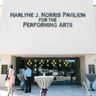 Logo for Harlyne J. Norris Pavilion