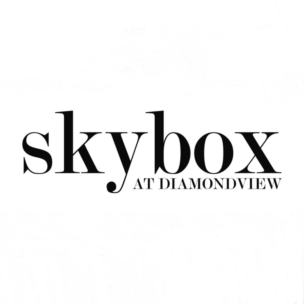 The Ultimate Skybox, photo 3