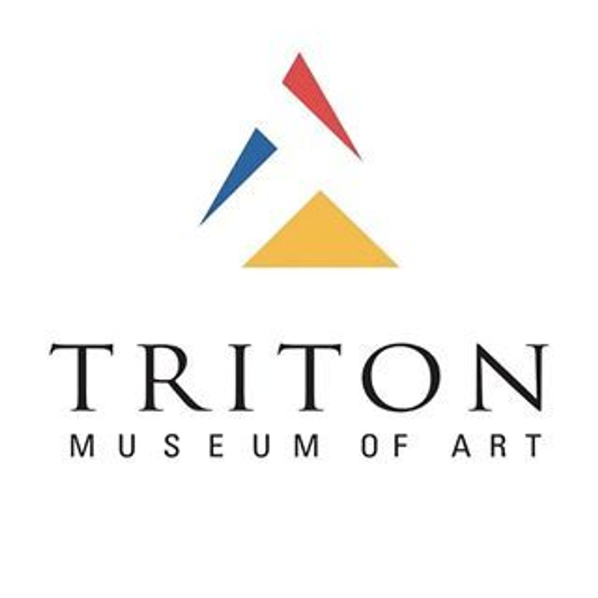 Triton Museum of Art, photo 3