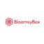 Logo for BloomsyBox