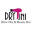 Logo for DRYtini Blow Dry & Beauty Bar