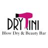 Logo for DRYtini Blow Dry & Beauty Bar