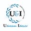 Logo for Udream Idecor