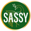 Logo for Sassy Studios