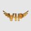 Logo for Your VIP Limo