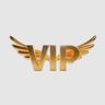 Logo for Your VIP Limo