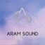 Logo for Aram Sound