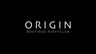 Logo for Origin