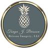Logo for Brisson Imagery,LLC
