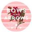 Logo for Bows + Arrows