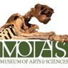 Logo for The Museum of Arts & Sciences