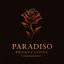 Logo for Paradiso Video Productions