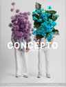 Logo for Concepto