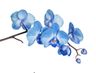 Logo for Blue Orchid Wedding & Event Planners