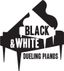 Logo for Black & White Dueling Pianos