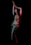 Logo for Chantal Bellydance