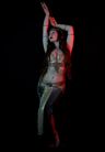 Logo for Chantal Bellydance