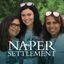 Logo for Naper Settlement