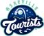 Logo for Tourists Signature Events