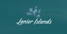 Logo for Lanier Islands Resort