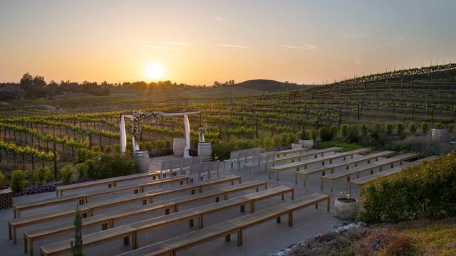 Featured photo from Vineyard Ceremony Lawn