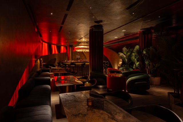 Featured photo from Yawning Cobra Midtown