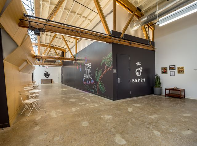 Featured photo from The Gallery