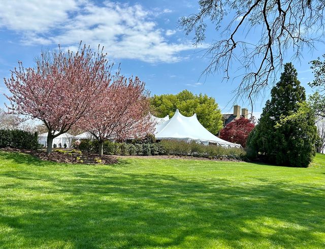Featured photo from Reception Tent