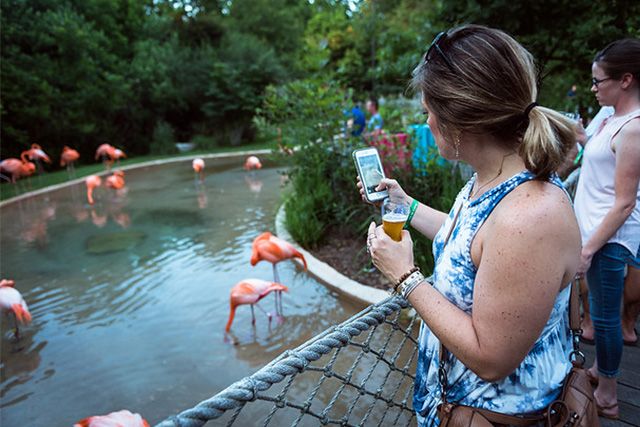 Featured photo from Flamingo Lagoon