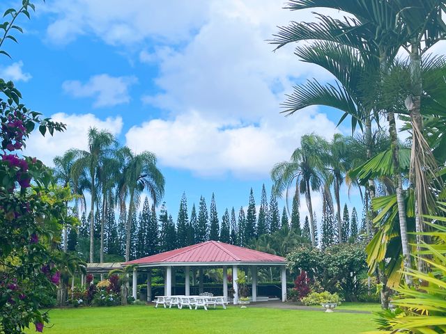 Featured photo from Gazebo