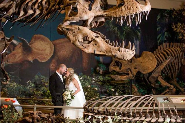 Featured photo from North American Wildlife / Foster Overlook