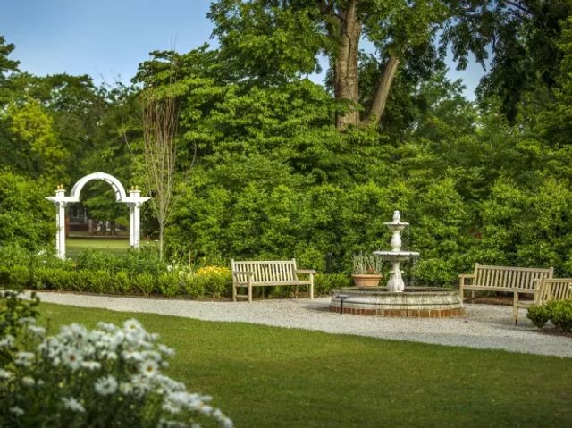 Featured photo from Gardens