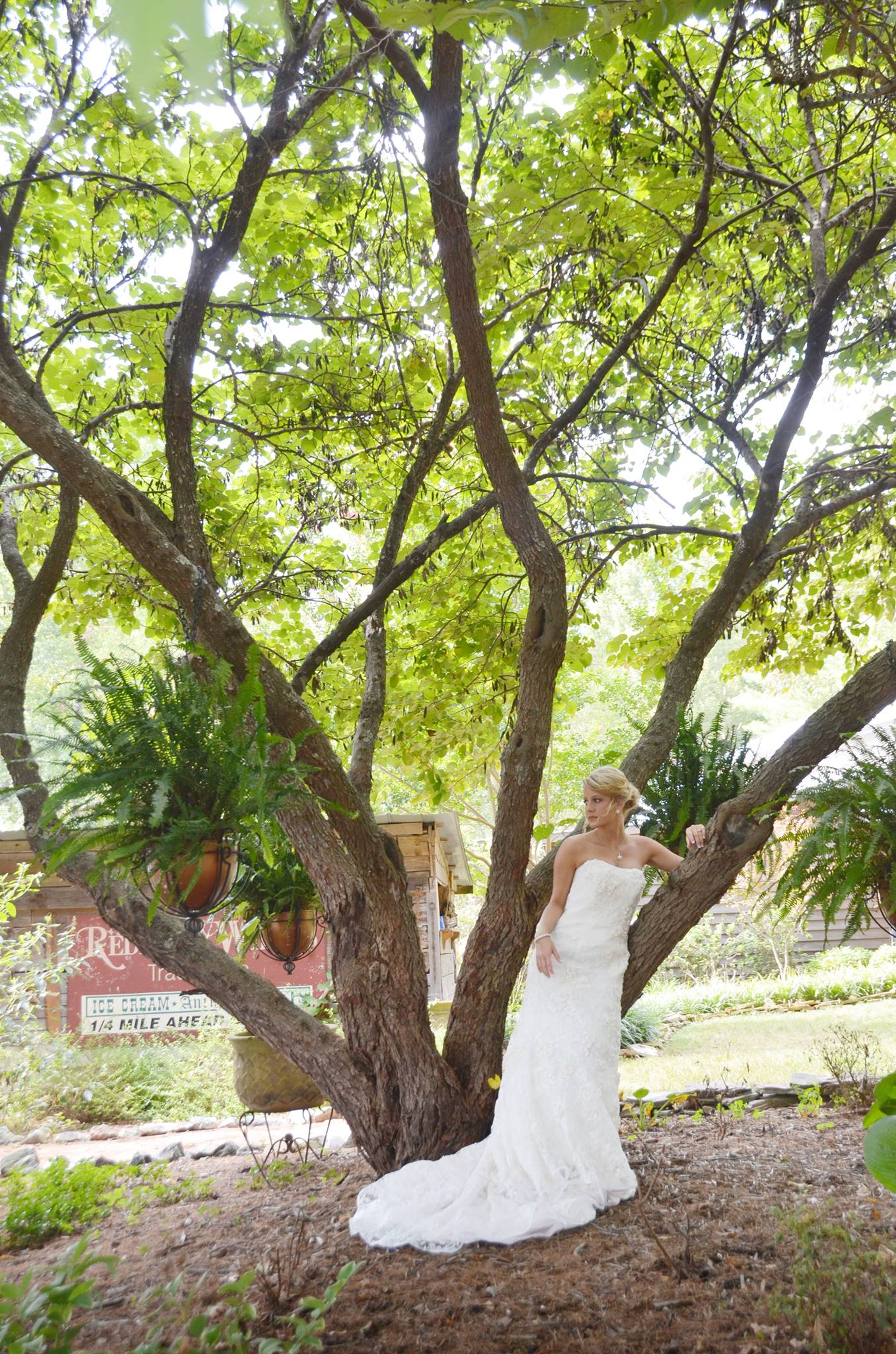 The Barn, an event space at DeStarte Wedding Barn