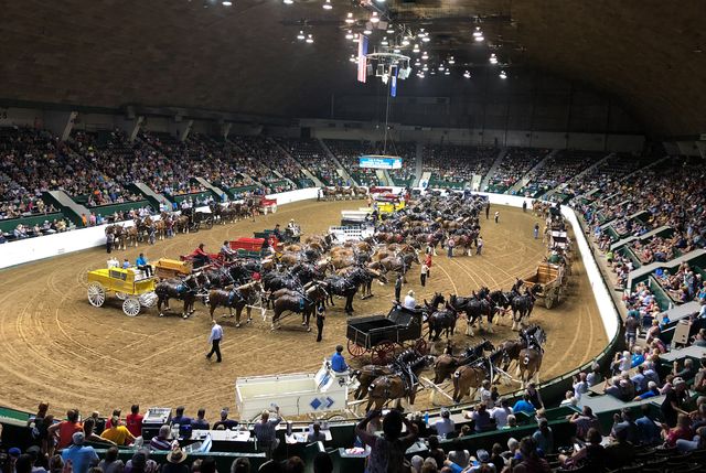 Featured photo from Main Arena