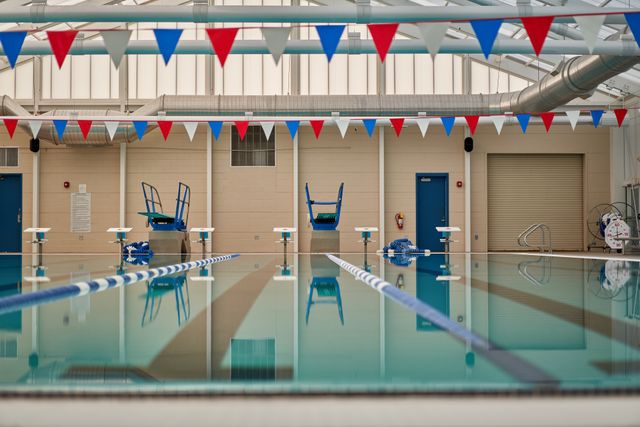 Featured photo from Angelfish