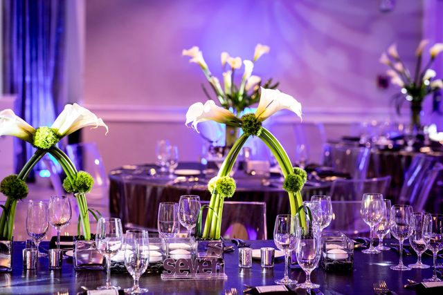 Featured photo from Kickin it with Jesse