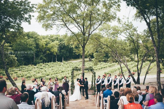 Featured photo from Mitas Hill Vineyard