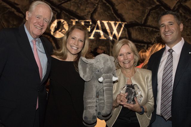 Featured photo from Into the Wild