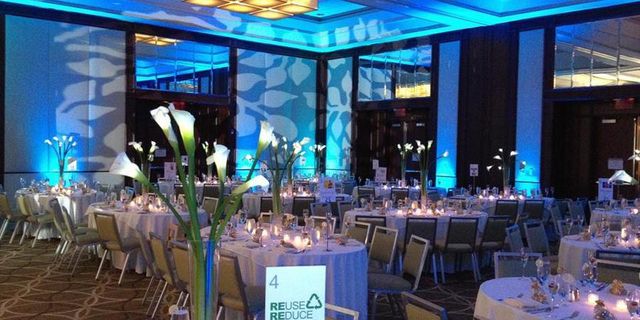 Featured photo from Westin