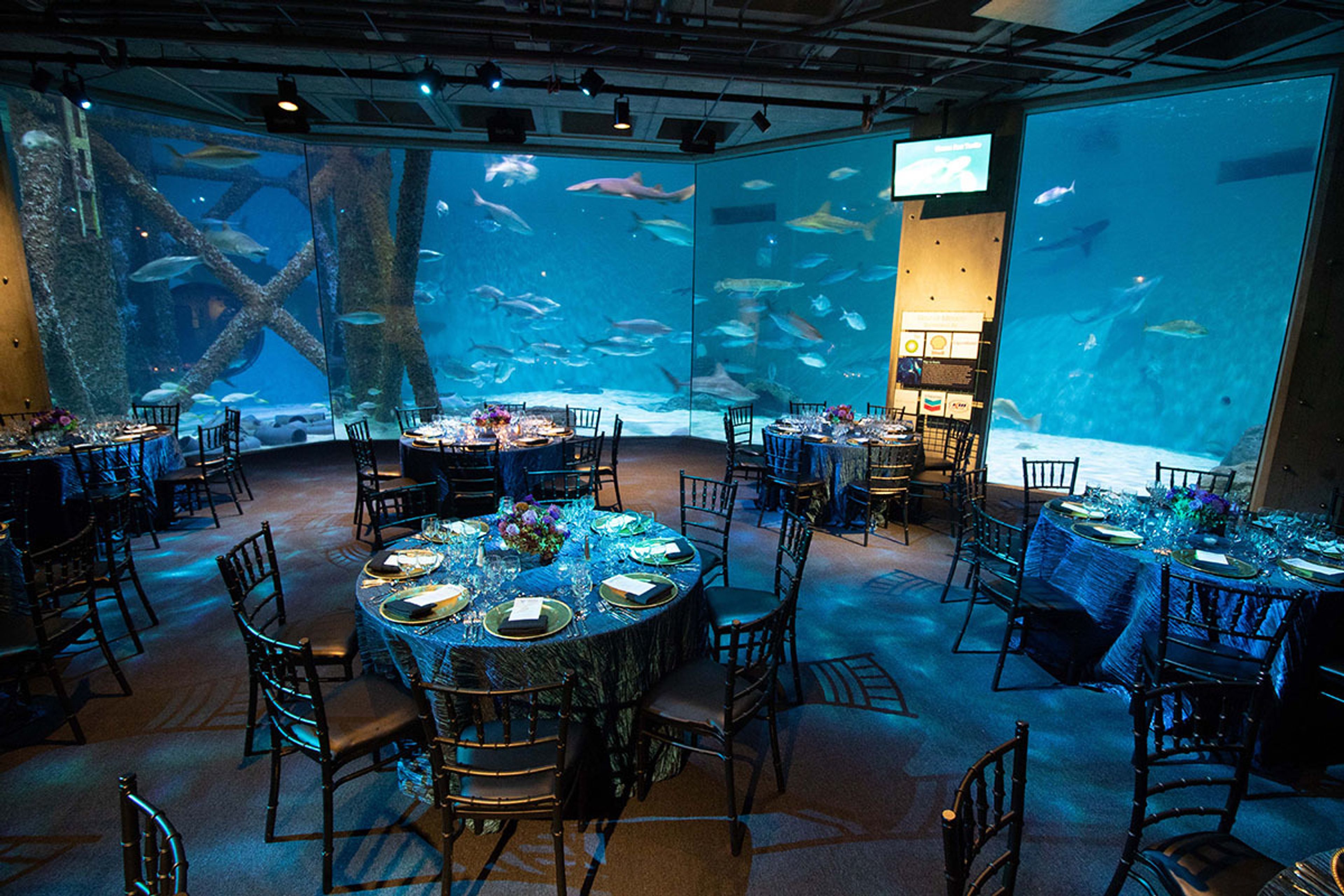 Audubon Nature Institute, an event space at Audubon Zoo