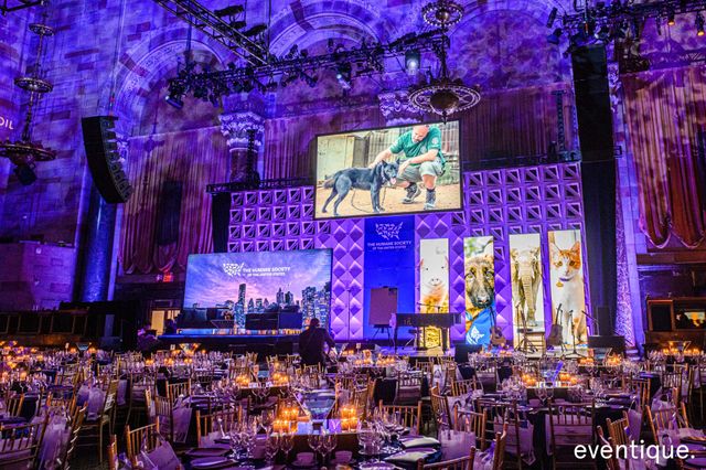 Featured photo from Humane Society To The Rescue! NY Gala 2019